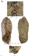考古学家发现最古老皮鞋距今5500年(组图)