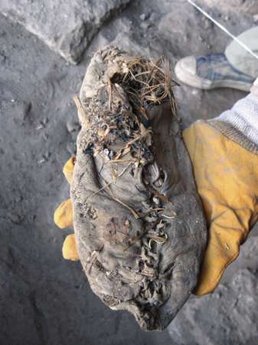 考古学家发现最古老皮鞋距今5500年(组图)