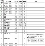 2011年山东工艺美术学院艺术类专业文化分录取分