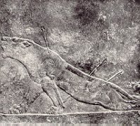 西方早期著名浮雕艺术—《受伤的母狮》